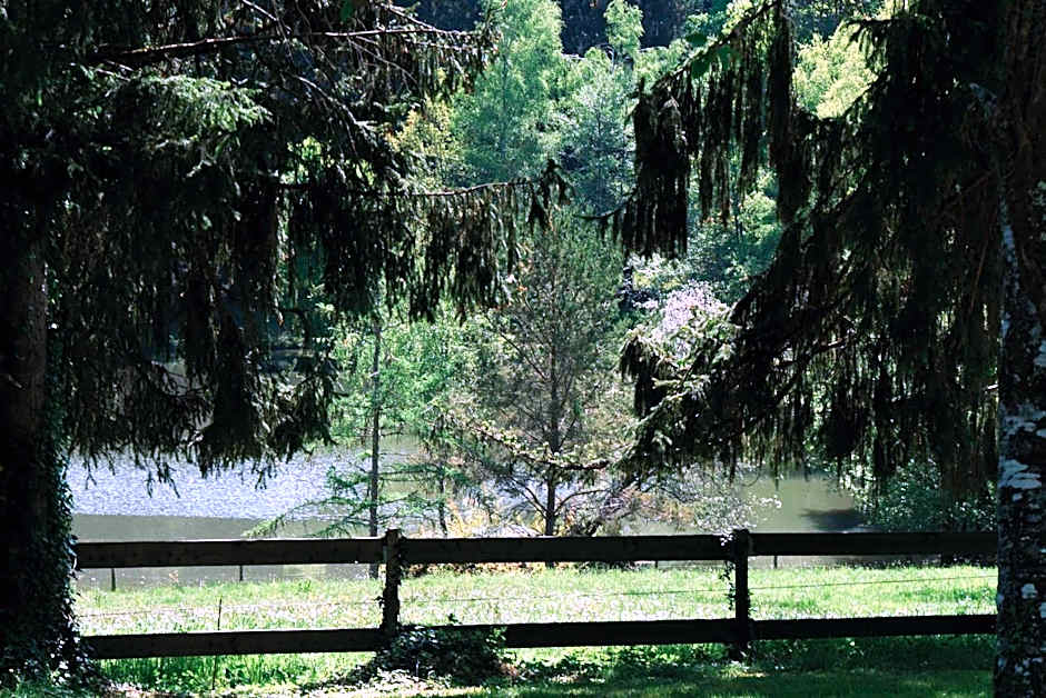 Manoir de Chantemerle