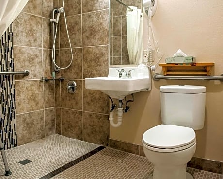 1 King Bed  No Smoking  Accessible Room