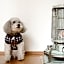 Guest House Grape House Koenji - Female Only 