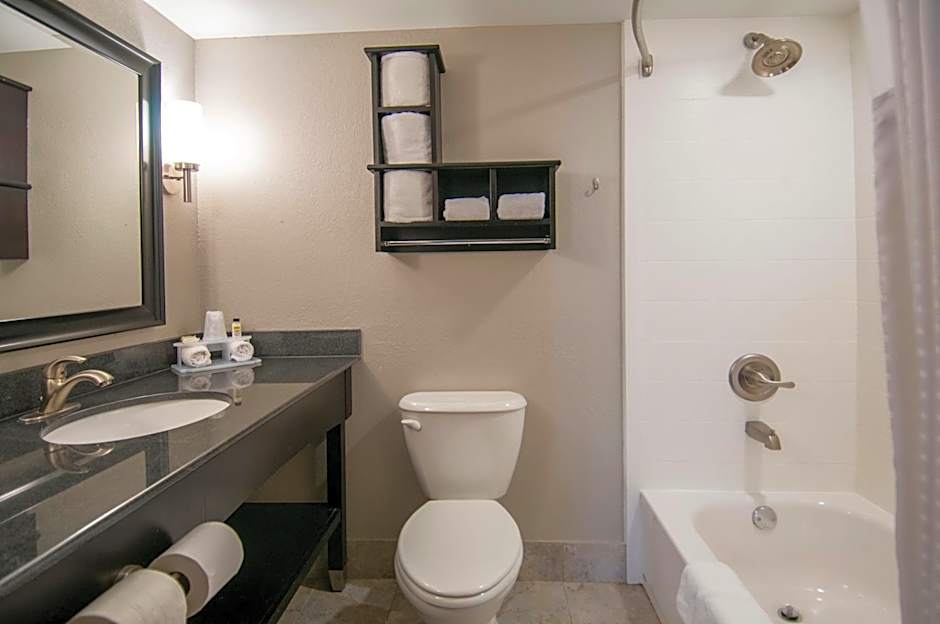 Holiday Inn Express & Suites Jackson Downtown - Coliseum By IHG