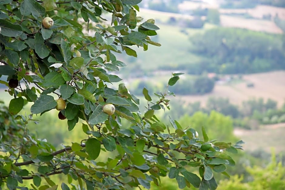 Casale di Maro