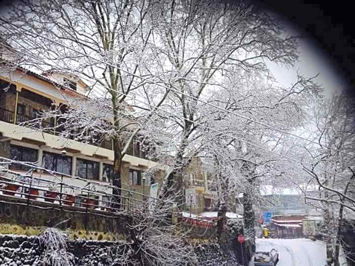 Mountain Rose Hotel & Restaurant