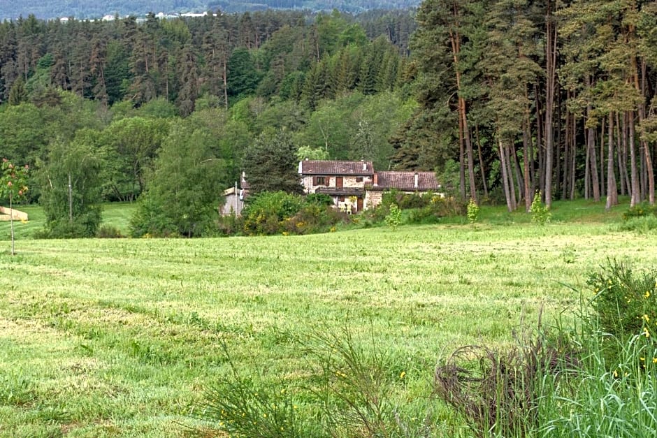 Moulin des Comtes - chambre des comtes