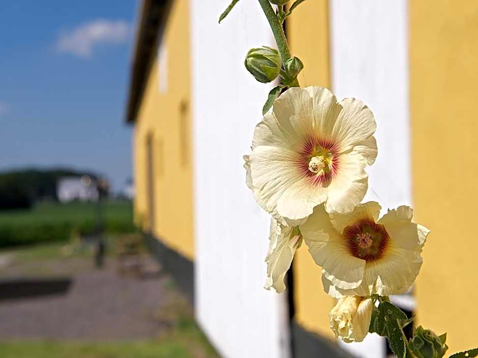 Myregaard B & B and Apartments