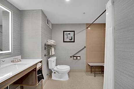 1 King Bed Accessible Evolution Room