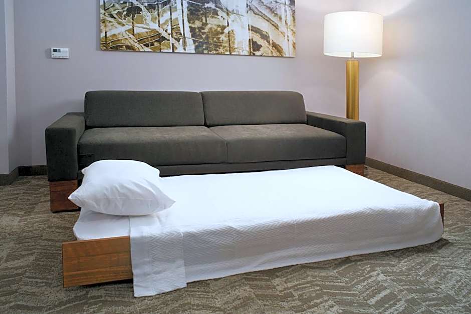 SpringHill Suites by Marriott Texas City