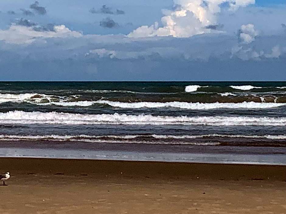 JJs Beach Condo South Padre Island Permit#2023-1639