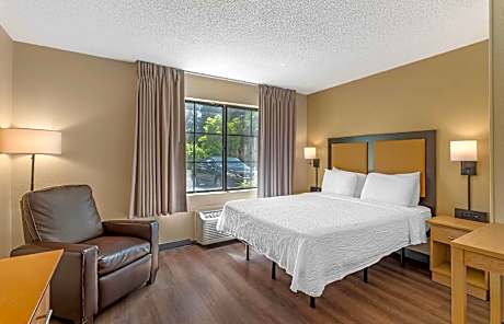 1 Bedroom Suite Queen Non-Smoking