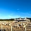Apartpark Lividus338