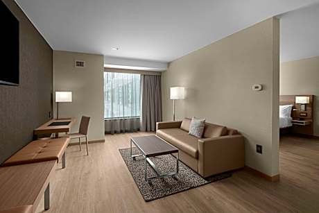 1 Bedroom Suite, 1 King, Sofa bed