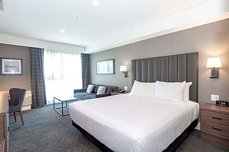 Standard Room, 1 King Bed, Sofa Bed, Euro Style Shower