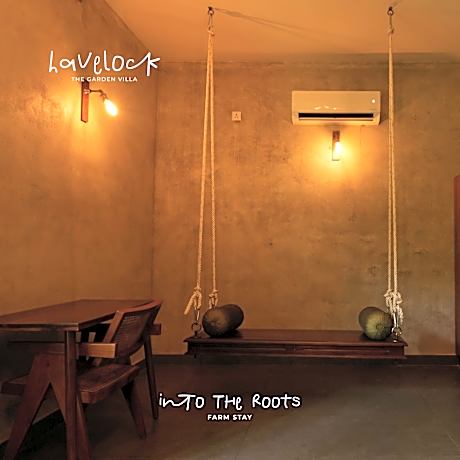 Into the Roots Farm Stay