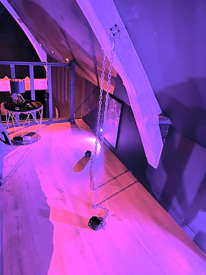 Loveroom de luxe - Thème 50 nuances de grey maison privative spa insolite