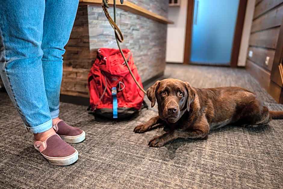 Schi- und Wanderhotel Berghof