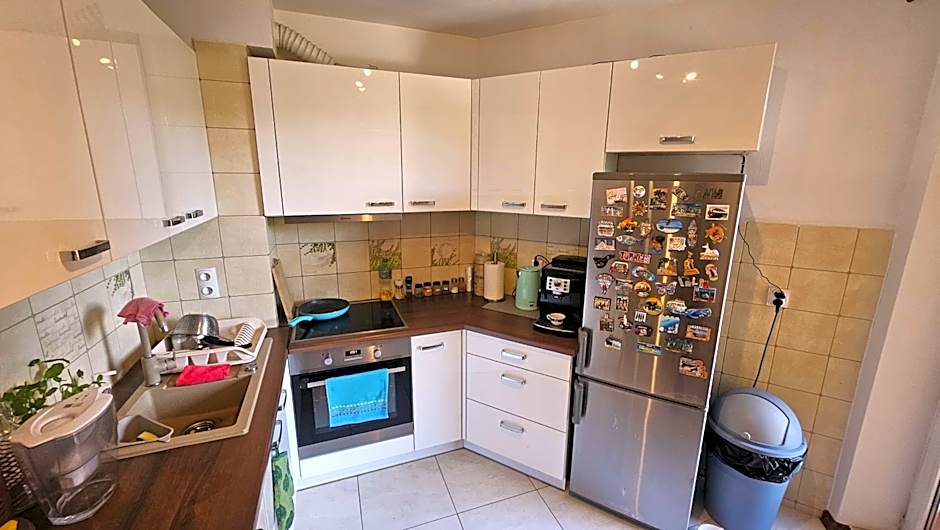 Sweet Home & Sweet Cats & Fast internet