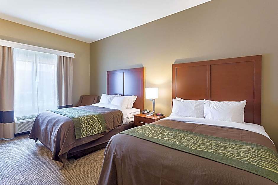 Comfort Inn & Suites Zachary