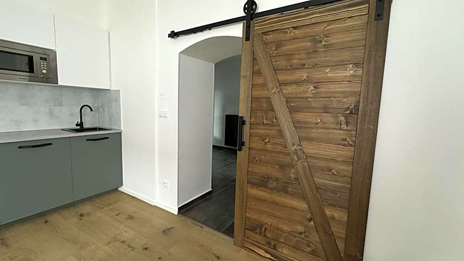 Family Apartments Černice