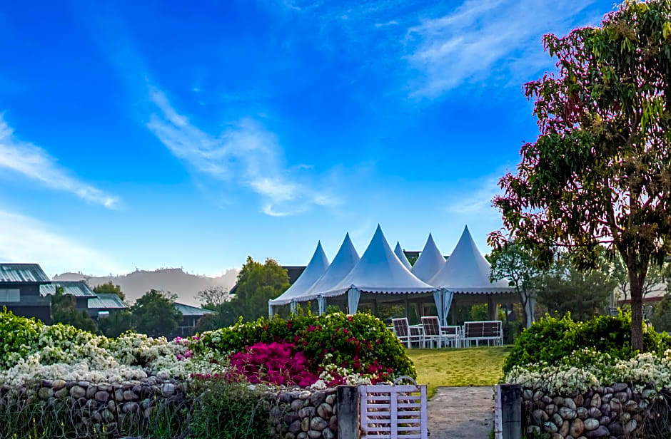 Amatra by the Ganges