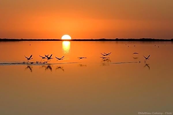 Hôtel Café Miramar