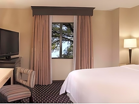 2 Room Suite-1 King Bed-Nonsmoking