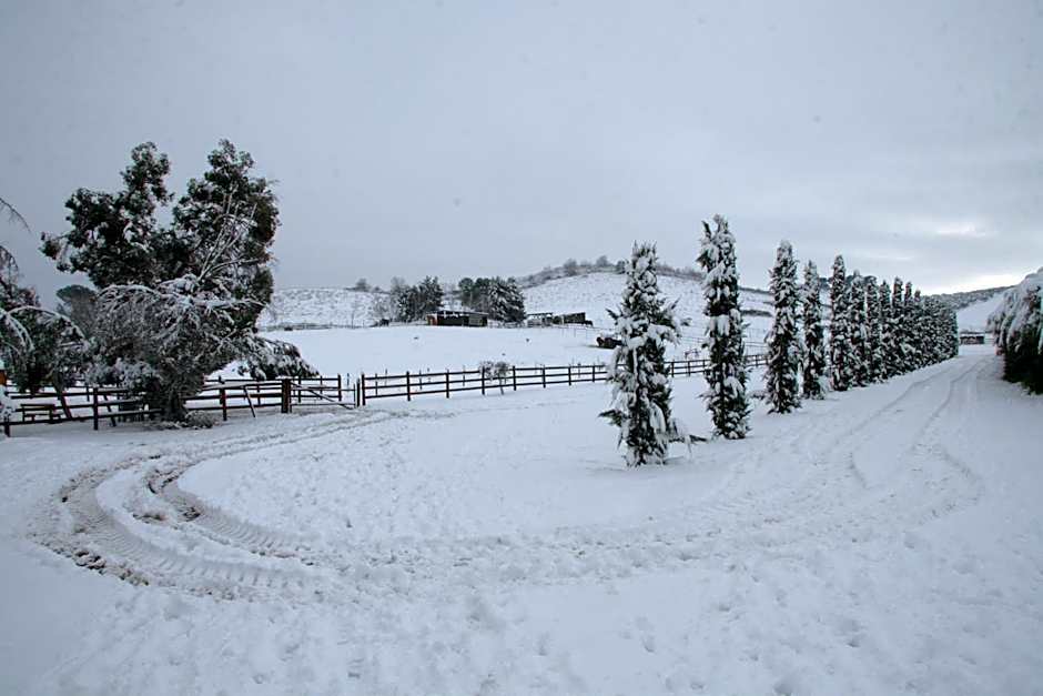 Tenuta Agricola Fonte Di Papa