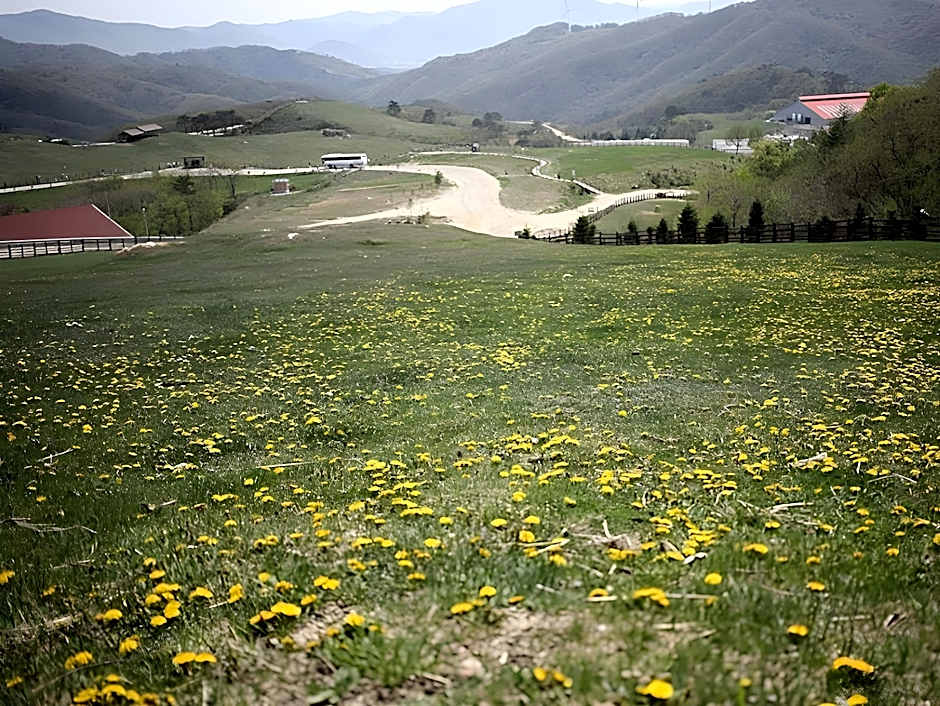 Daegwalnyeong Sanbang