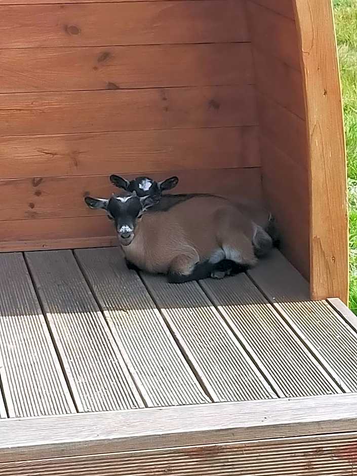 Casa da Avó Miquinhas
