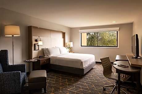 Standard King Room with Pool Access