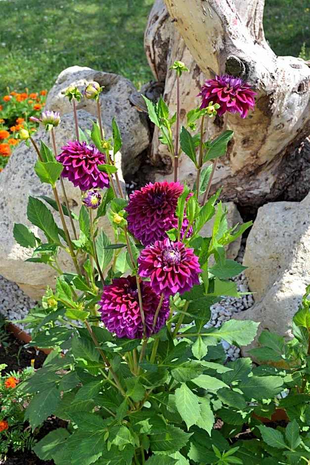 Hôtel Formules Club 2