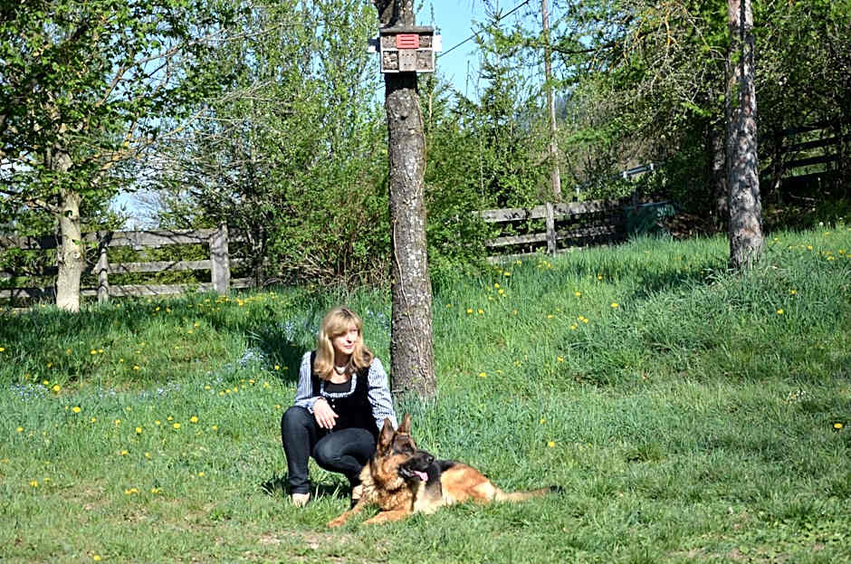 Pension zum Schreiner