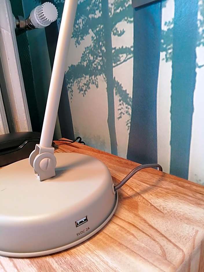 Hotel Du Cygne Tours