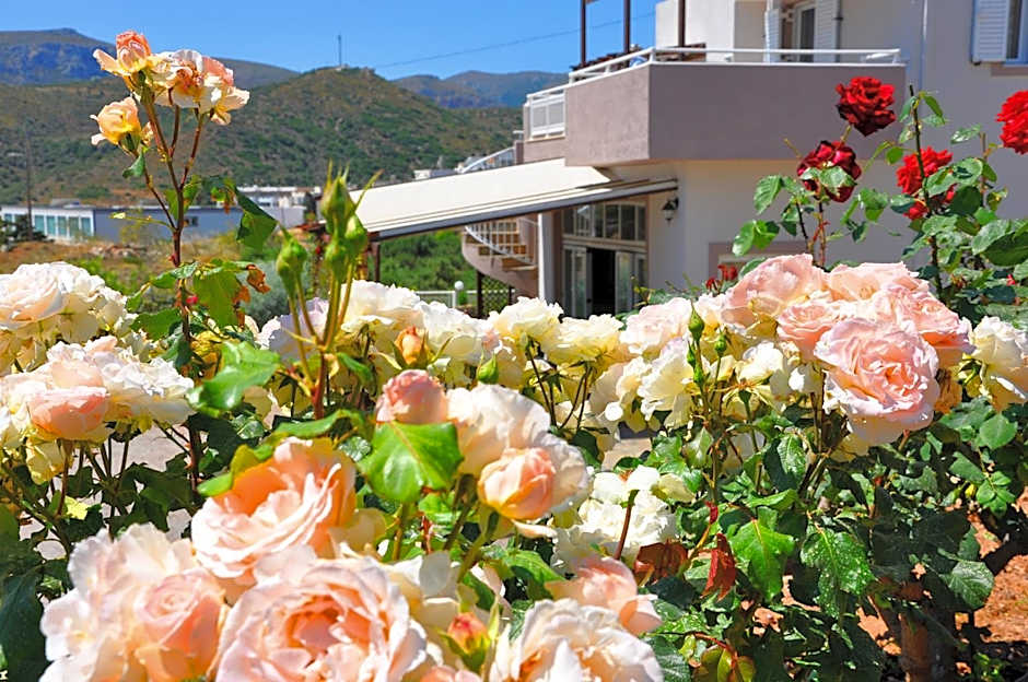 Lagos Studios & Apartments