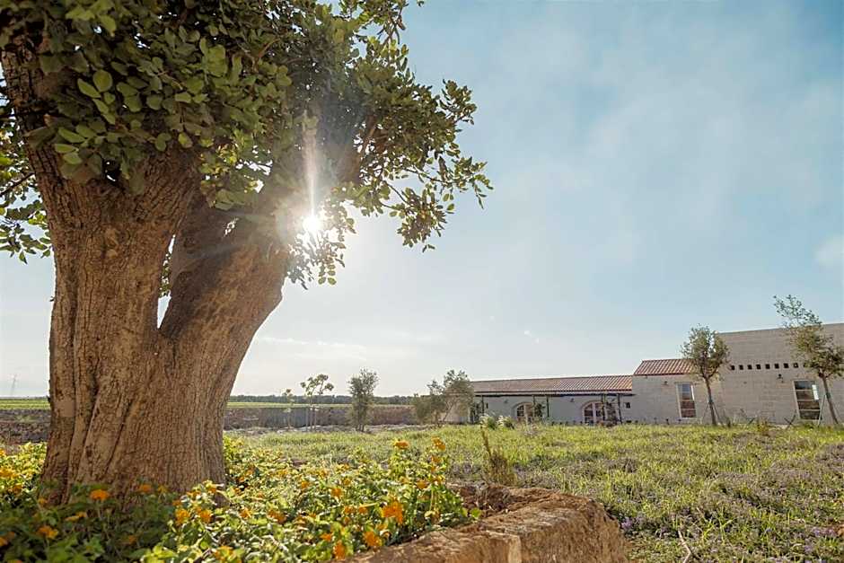 Masseria Vaccaro by Raro Villas - Self Check-in