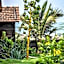 Lotus Sutra Beachfront Resort