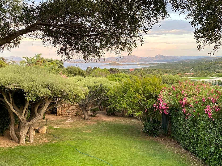 Domus Olivarum - Costa Smeralda 6 guest, 3 room, 2 bathroom, 2 parking Wifi