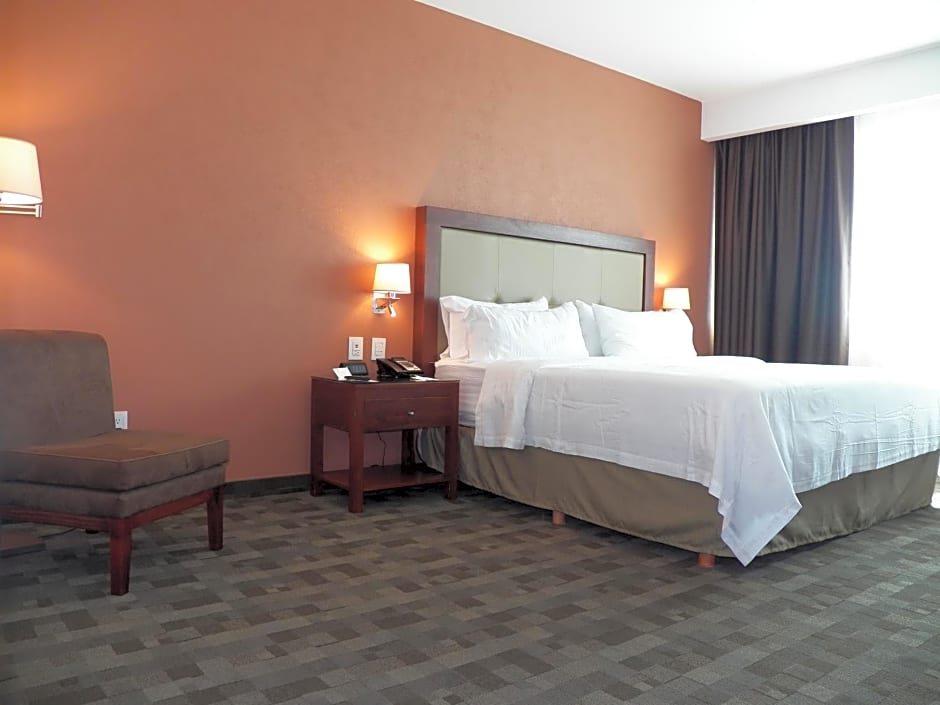 Holiday Inn Leon Plaza Mayor By IHG