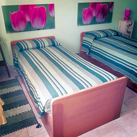 Twin Room with Garden View