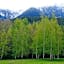 Hanmer Springs Forest Camp Trust