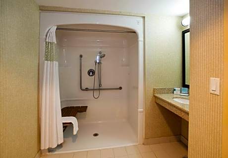 1 Qn Accessible Rm W/ Roll-In Shower Nonsmok