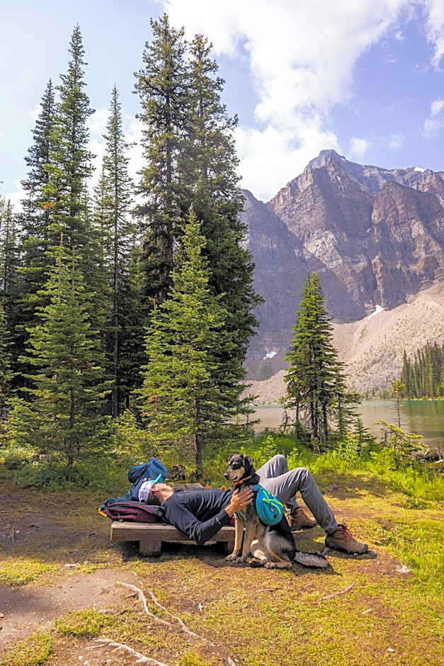 Storm Mountain Lodge Cabins Dining