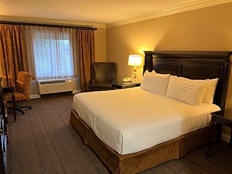 King Room with Sofa Bed and Bath Tub - Disability Access/Non-Smoking