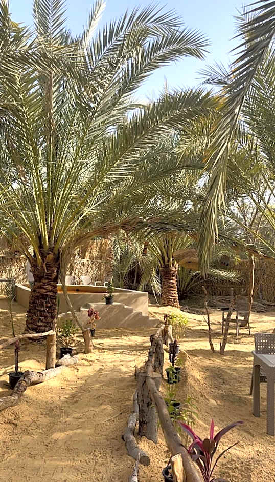 Siwa Palace Lodge