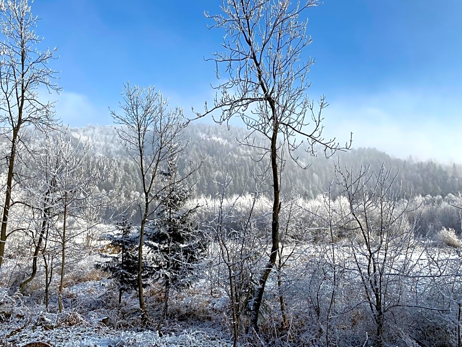 Pokoje Gościnne Pod Jaworem - obok pięknego szlaku wzdłuż rzeki Białka, 1km do stoków Kotelnica