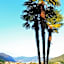 B&B La Fenice sul Lago
