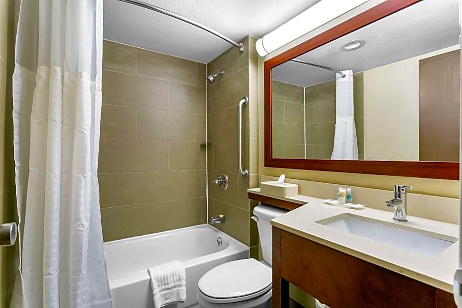 Comfort Inn Red Horse Frederick