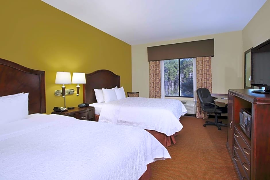 Hampton Inn By Hilton & Suites Conroe - I-45 North