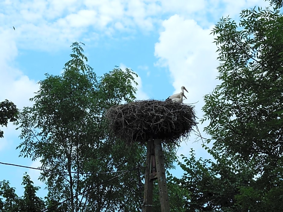 Dom na Mazurach Pilec