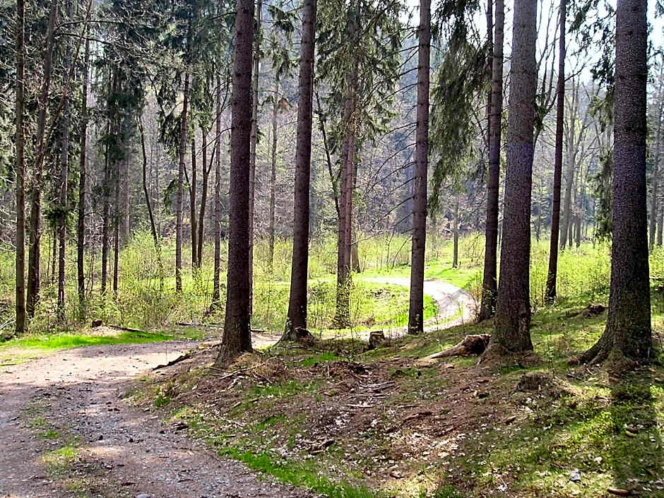 Dom Gościnny pod Zamkiem Wleń