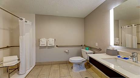 2 Double Standard Comm Mobility Accessible Roll In Shower