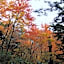 Shiga Park Hotel